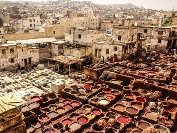 Highlights of Fez Day Tour