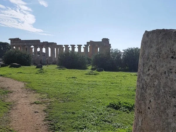 Segesta and Selinus - Full day tour between temples and immortal ruins.