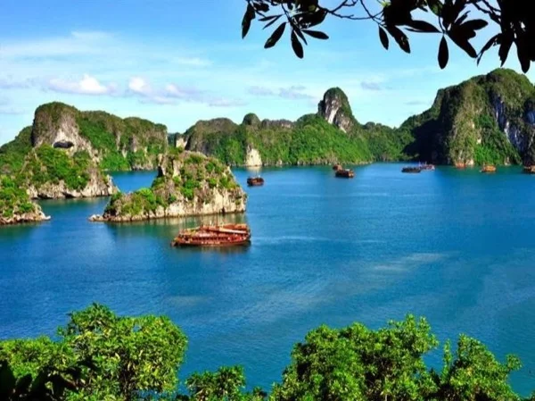 Shore Excursion Tour: Halong Bay Tour