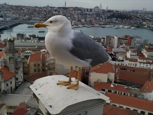 Two Wonderful Days in Istanbul & Private Tour