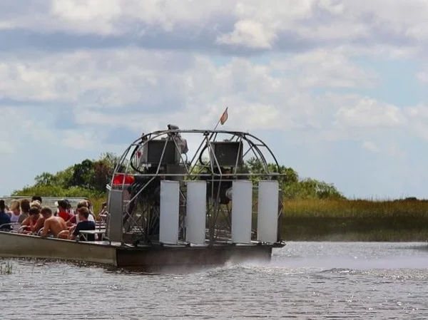 Explore Everglades National Park: Encounter Alligators and Dive into the Ecosystem