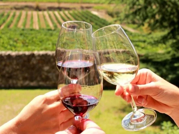 Private Wine Tasting Half Day Tour