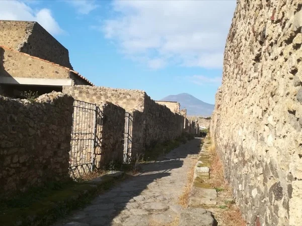 Private tour in Pompeii: 2 hours with an archaeologist