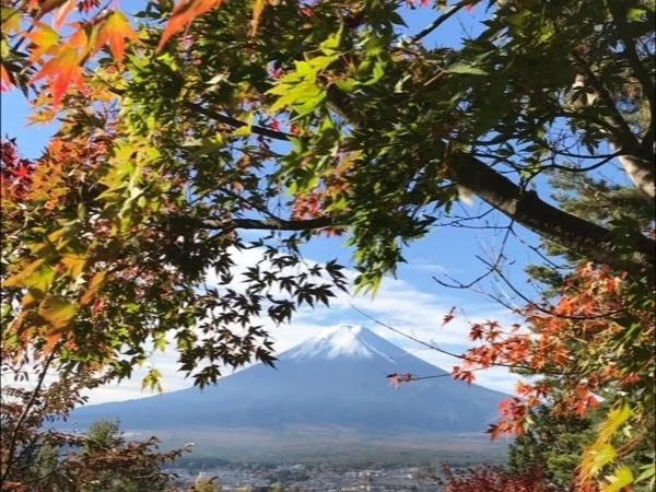 1-day tour around the Mt. Fuji area (in Fuji five lakes area near Kawaguchiko, not Hakone)