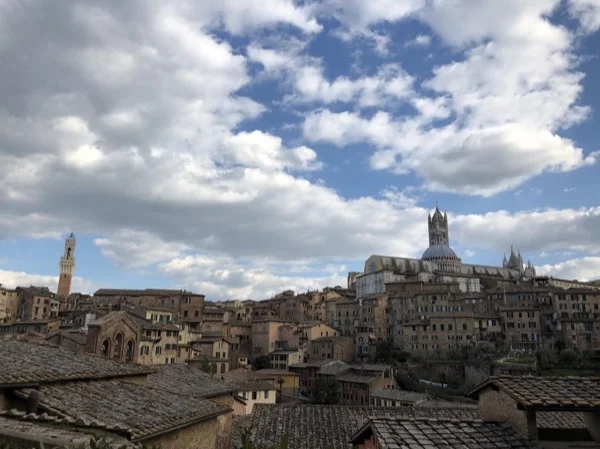 Medieval Siena private tour