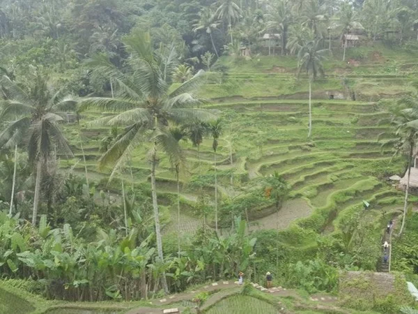 Explore Bali's Shore Full Day Excursion