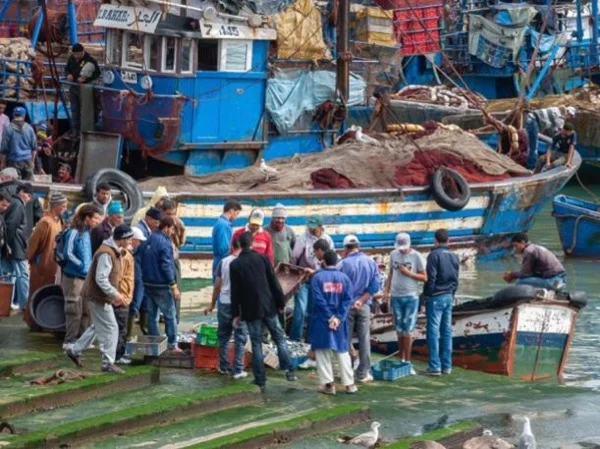 Essaouira: Private walking city Tour