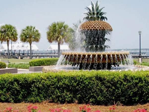 Charleston's Charm and Grace Express Tour