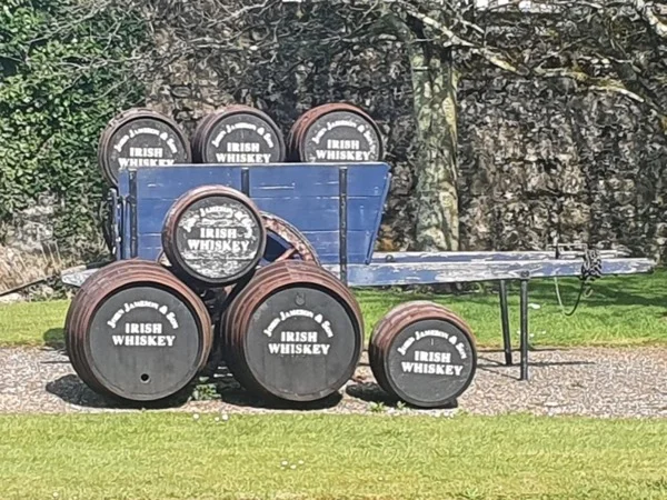 Jameson Distillery and Blarney Castle, tour with locals
