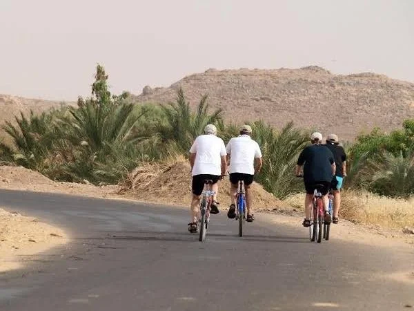 a bike tour to visit west luxor