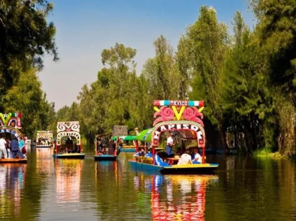 Tequila and Craft Beer Tasting in Mexico City's Floating Gardens
