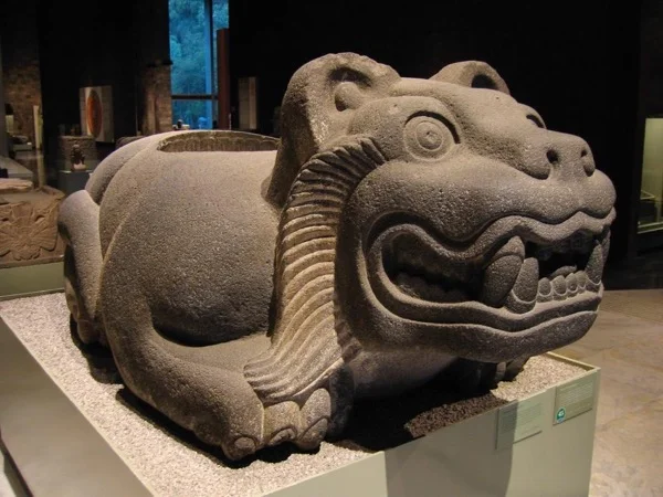 A magical time travel at Anthropology Museum, Walking Tour