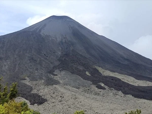 Pacaya Volcano and Marshmallows Full-Day Tour