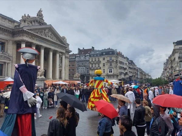 Brussels Exciting History: half day walk or electric bike