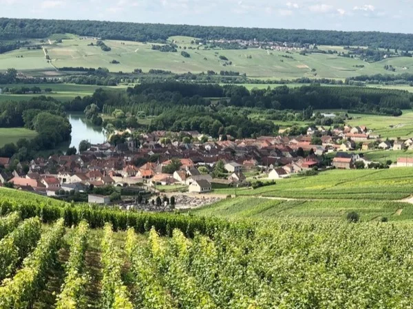 Champagne Private Tour from Paris