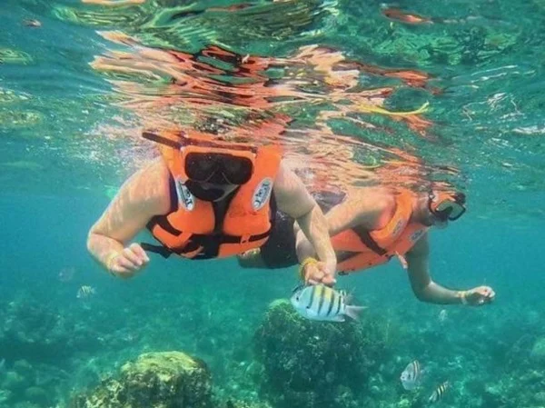 Snorkeling Adventure + Monkeys & Sloth Park Shore Excursion