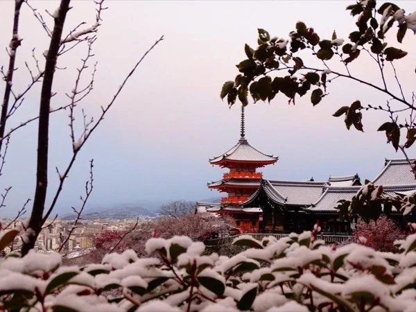 A Super Packed Kyoto 2 Day Itinerary for First Timers