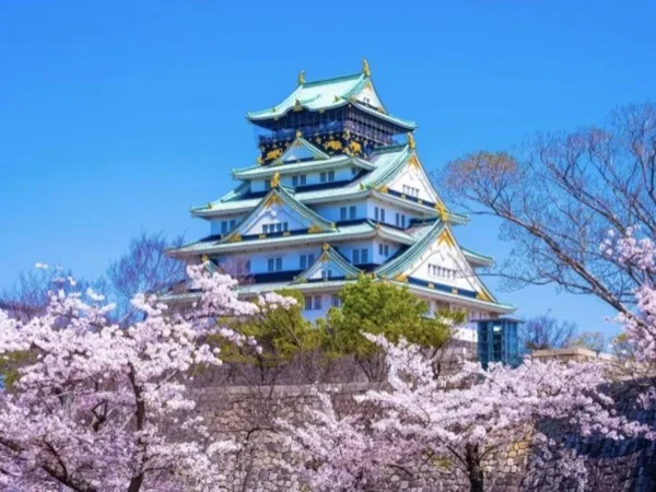 Sunrise to sunset: the ultimate Osaka experience