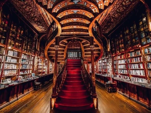 Porto Selected Shops & Lello Bookstore - Full Day Tour