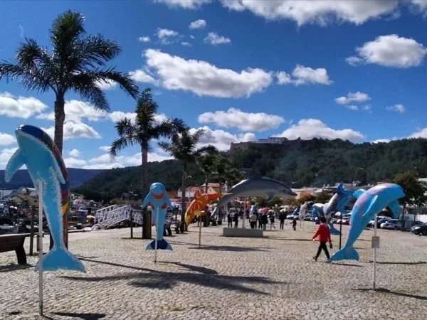 Setúbal: Half-Day private tour