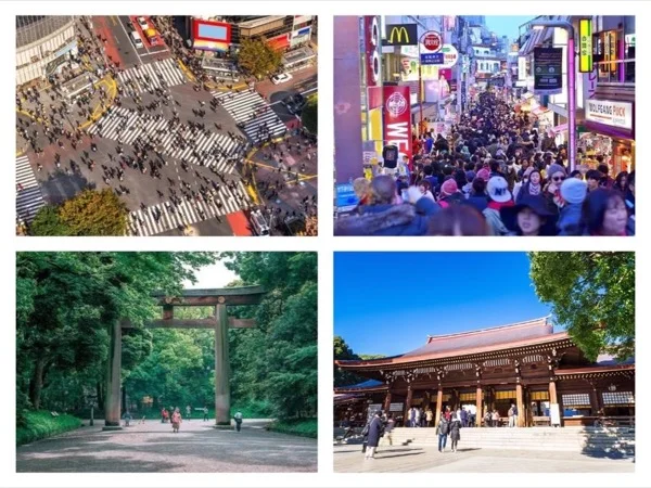 Tokyo Must-Sees Whirlwind Tour (Half Day)