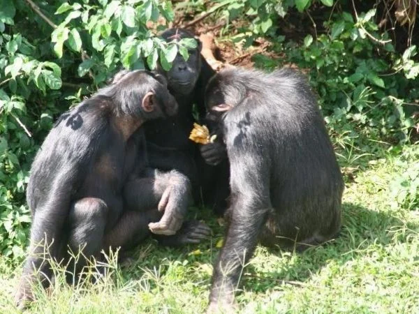 1 day Kampala City Tour